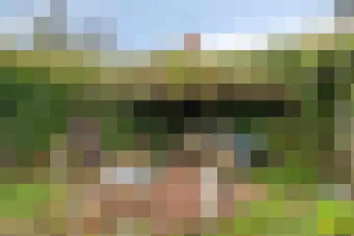 Boschweg 14 A Den Andel thumbnail 72