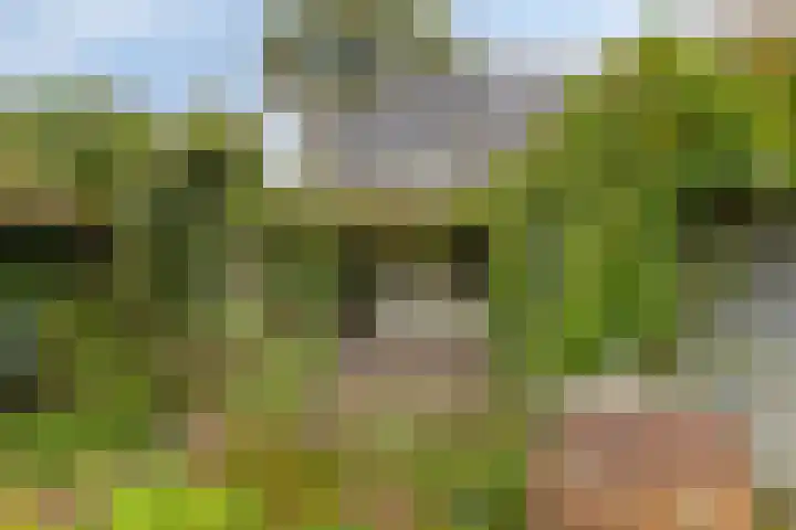 Boschweg 14 A Den Andel thumbnail 73