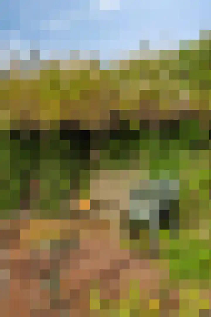 Boschweg 14 A Den Andel thumbnail 76