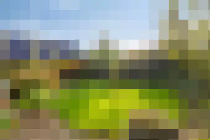 Boschweg 14 A Den Andel thumbnail 77
