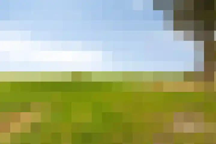 Boschweg 14 A Den Andel thumbnail 78
