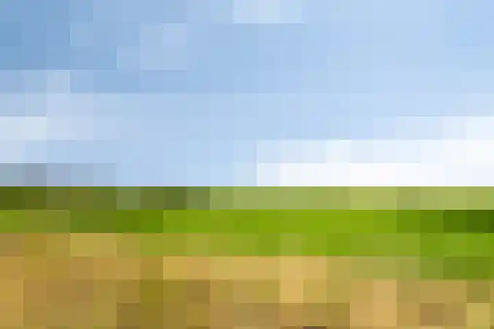 Boschweg 14 A Den Andel thumbnail 79