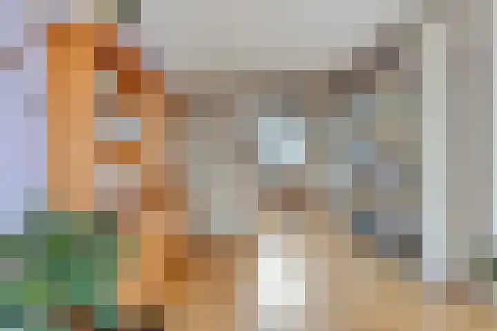 Bosdijklaan 29 Goes thumbnail 14
