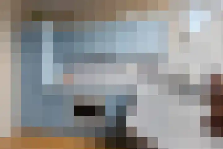 Bosdijklaan 29 Goes thumbnail 18
