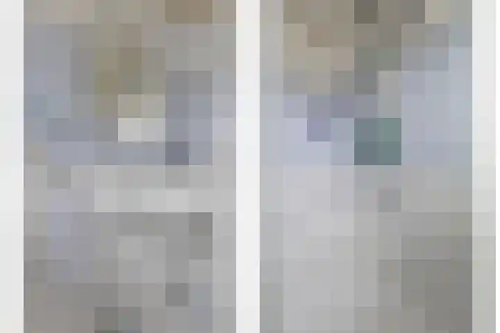 Bosdijklaan 29 Goes thumbnail 24