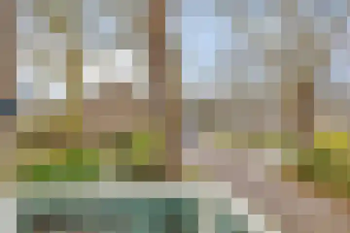 Bosdijklaan 29 Goes thumbnail 30
