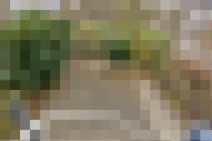 Bosdijklaan 29 Goes thumbnail 31