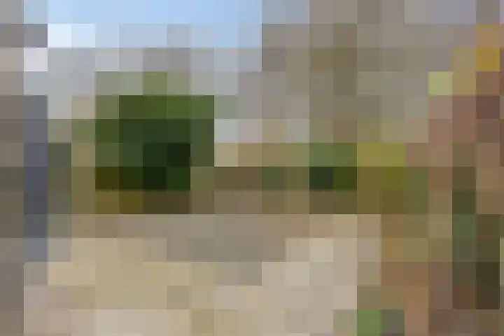 Bosdijklaan 29 Goes thumbnail 33