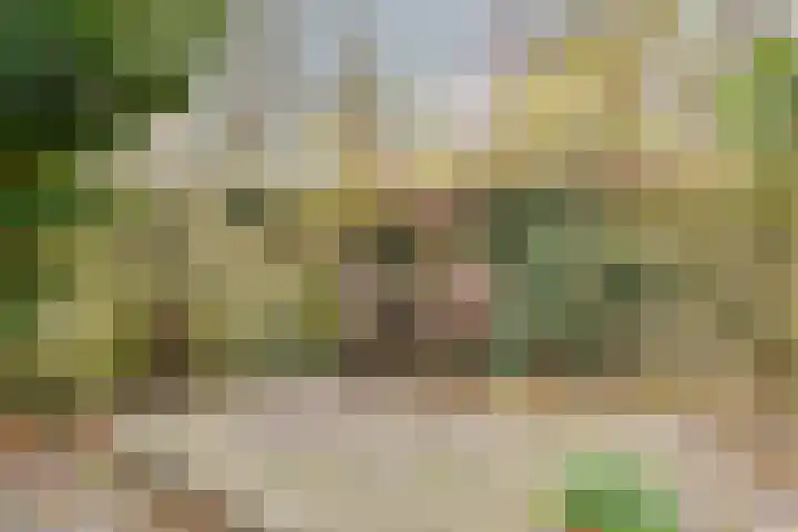 Bosdijklaan 29 Goes thumbnail 34