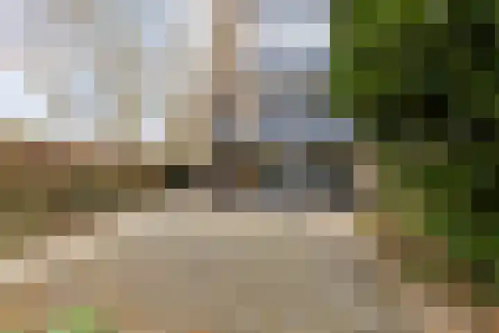 Bosdijklaan 29 Goes thumbnail 35
