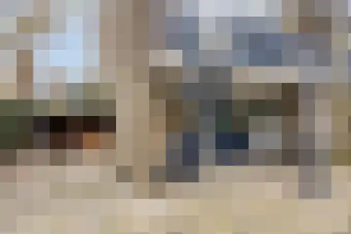 Bosdijklaan 29 Goes thumbnail 38