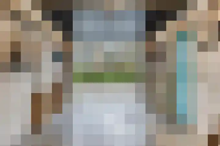 Bosdijklaan 29 Goes thumbnail 39