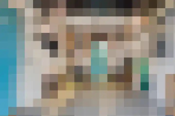 Bosdijklaan 29 Goes thumbnail 40