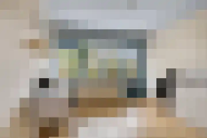 Bosdijklaan 29 Goes thumbnail 8
