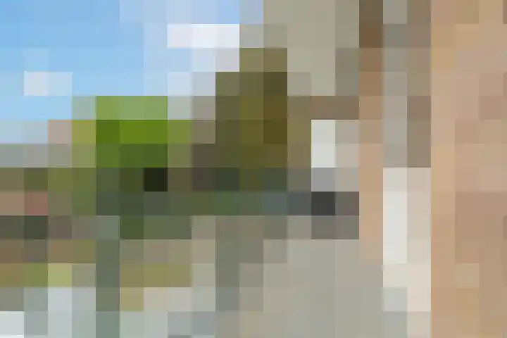 Bosdrift 144 Hilversum thumbnail 22