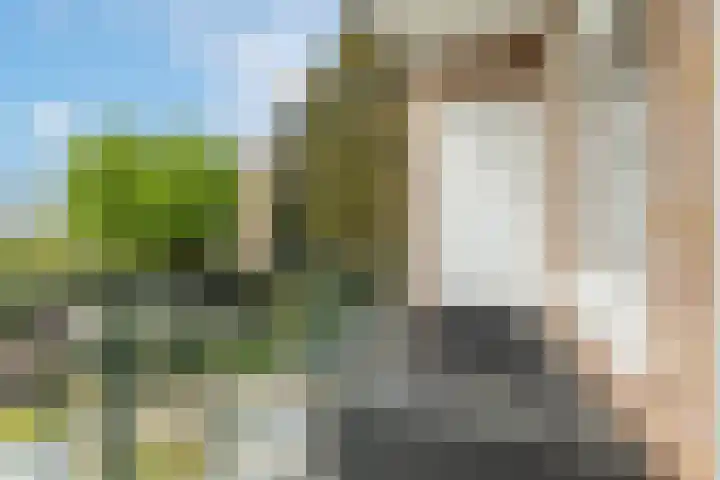 Bosdrift 144 Hilversum thumbnail 24
