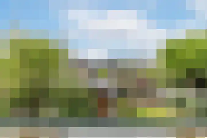 Bosdrift 144 Hilversum thumbnail 27