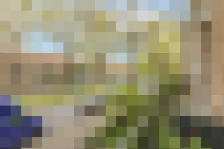 Bosdrift 144 Hilversum thumbnail 8