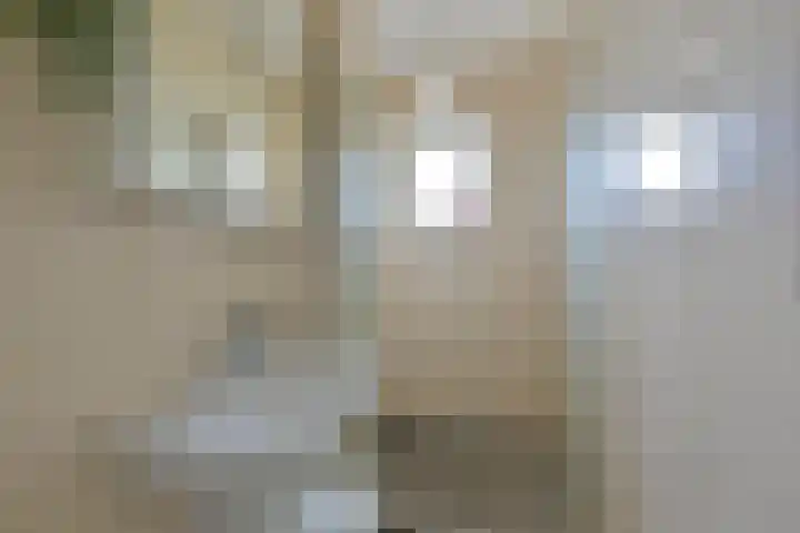 Bosdrift 211 Hilversum thumbnail 12