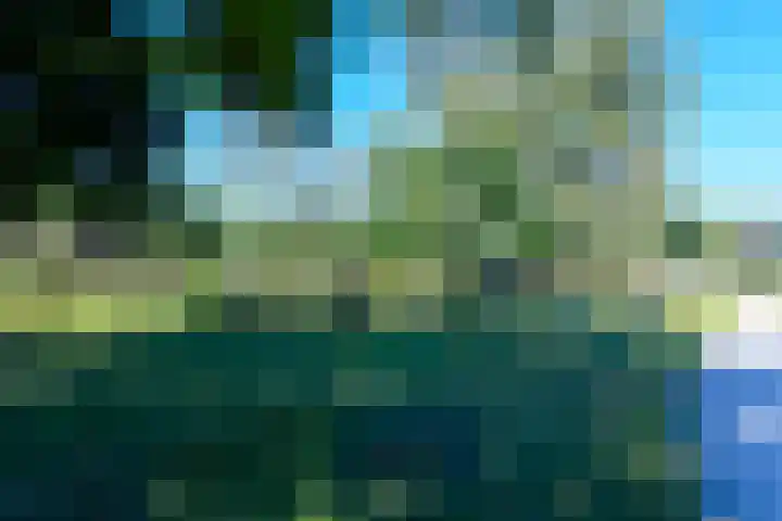 Bosdrift 211 Hilversum thumbnail 15