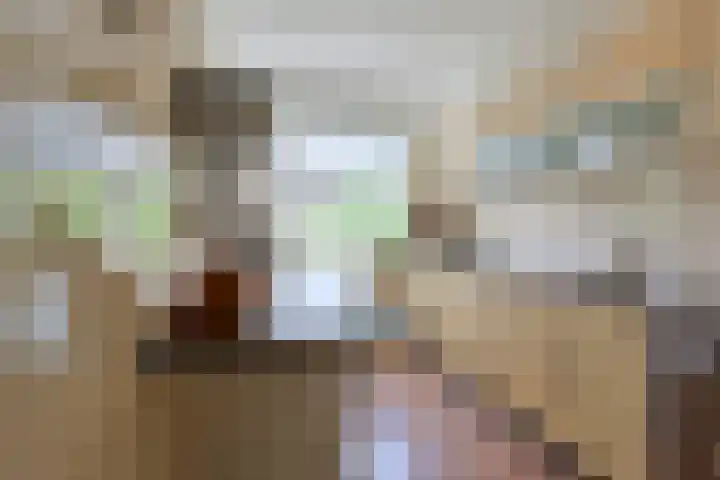 Bosdrift 211 Hilversum thumbnail 6