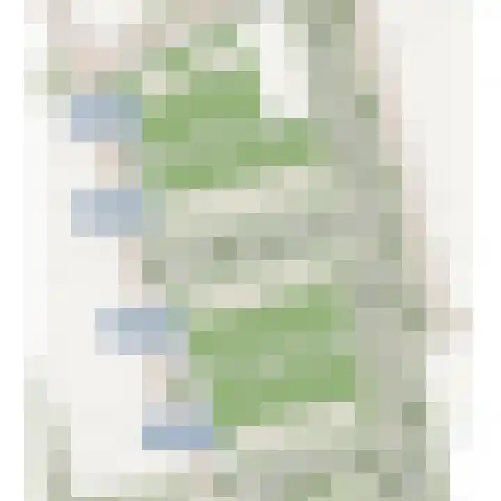 Boserf 3 Sint Philipsland thumbnail 7
