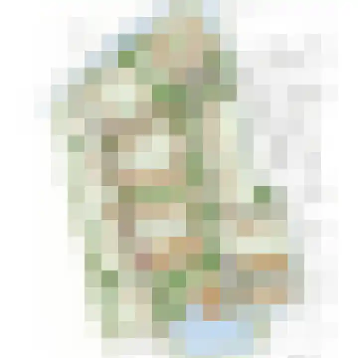 Boserf 3 Sint Philipsland thumbnail 9