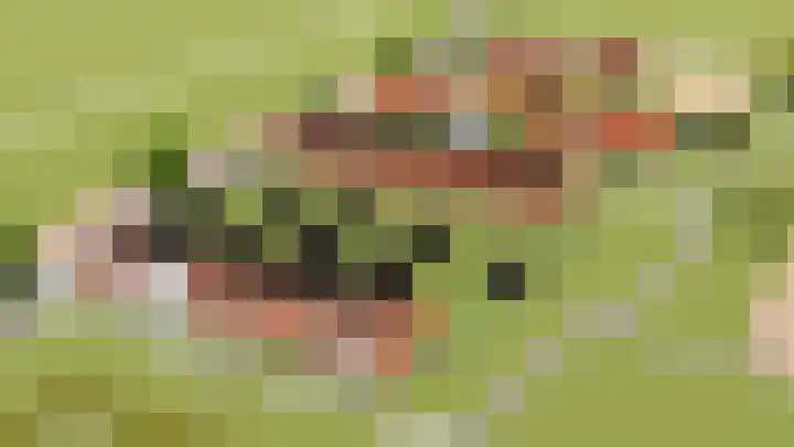 Boserf 5 Sint Philipsland thumbnail 6