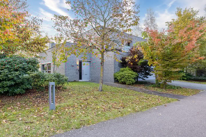 Bosfazant 18 in Eindhoven foto