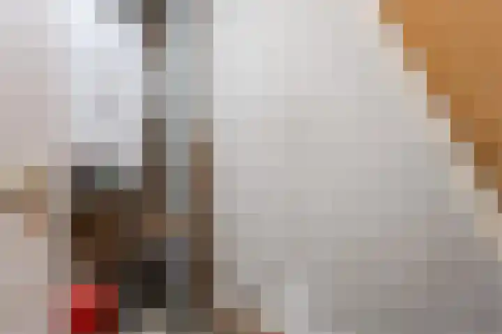 Bosgouw 157 Almere thumbnail 39