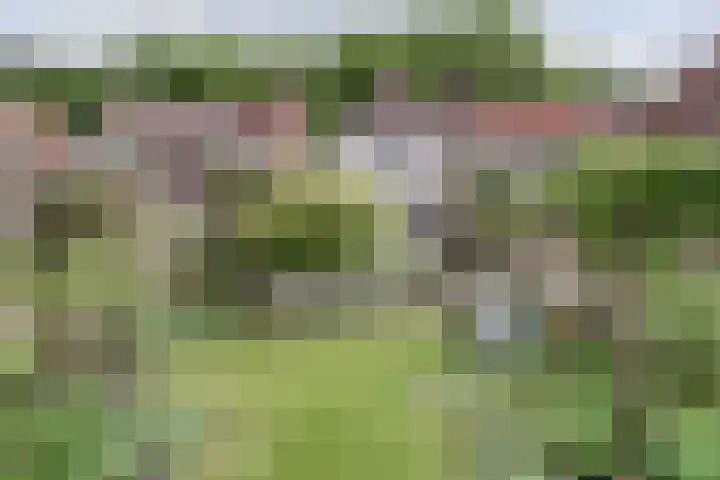Bosgouw 157 Almere thumbnail 41