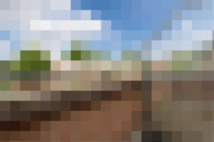 Bosgouw 157 Almere thumbnail 43