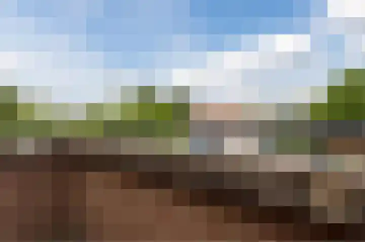 Bosgouw 157 Almere thumbnail 44