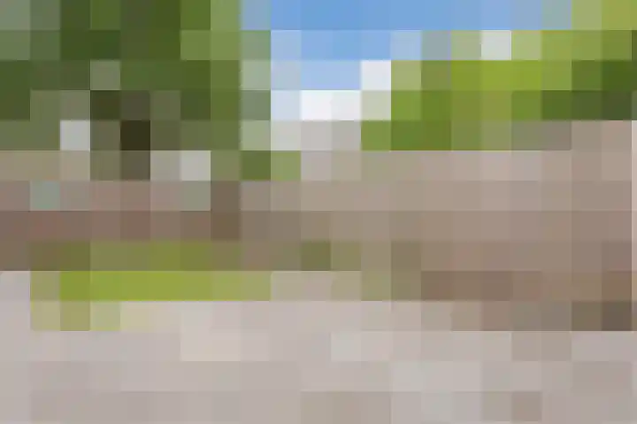 Bosgouw 157 Almere thumbnail 45
