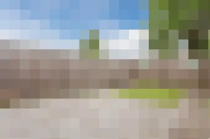 Bosgouw 157 Almere thumbnail 46