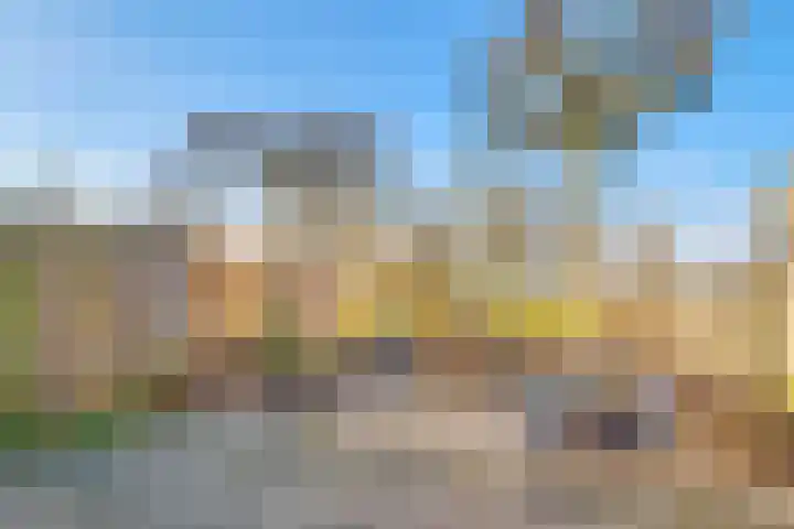 Bosgouw 157 Almere thumbnail 50