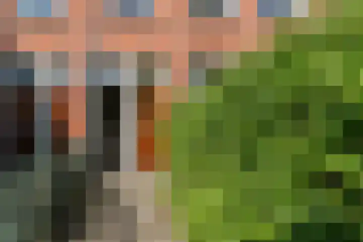 Bosgouw 157 Almere thumbnail 51