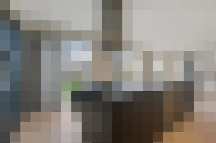 Bosgouw 301 Almere thumbnail 17