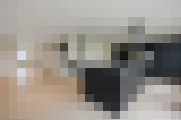 Bosgouw 301 Almere thumbnail 18