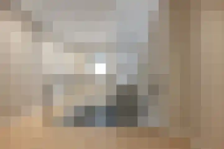 Bosgouw 301 Almere thumbnail 41