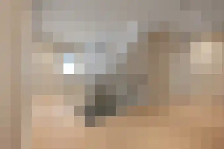 Bosgouw 301 Almere thumbnail 42