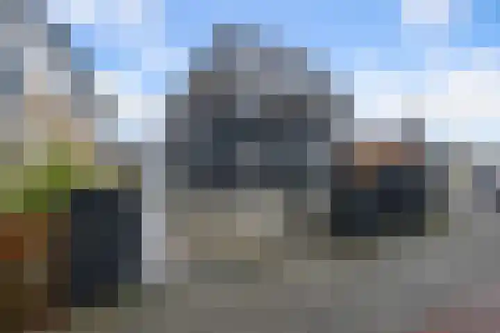 Bosgouw 301 Almere thumbnail 52