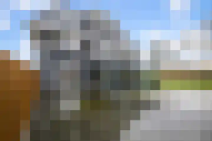 Bosgouw 301 Almere thumbnail 54