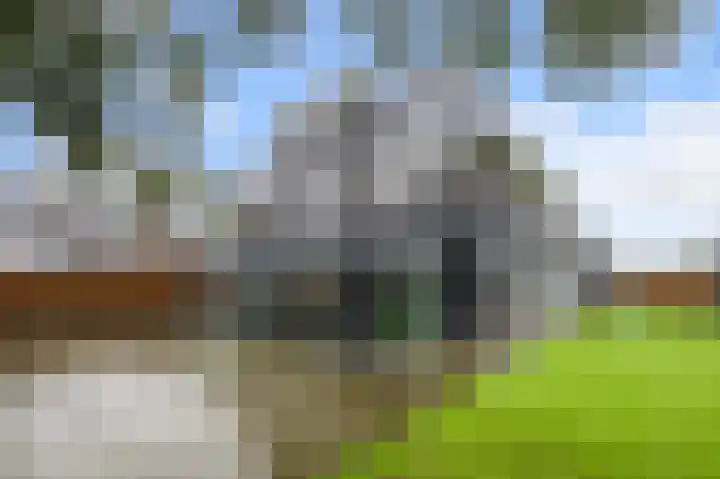 Bosgouw 301 Almere thumbnail 55