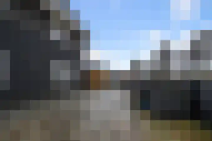 Bosgouw 301 Almere thumbnail 56