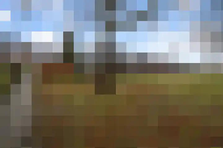 Bosgouw 301 Almere thumbnail 6