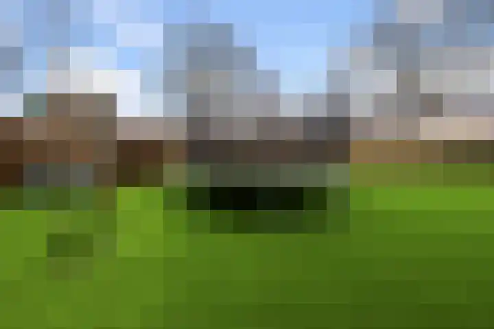 Bosgouw 301 Almere thumbnail 8
