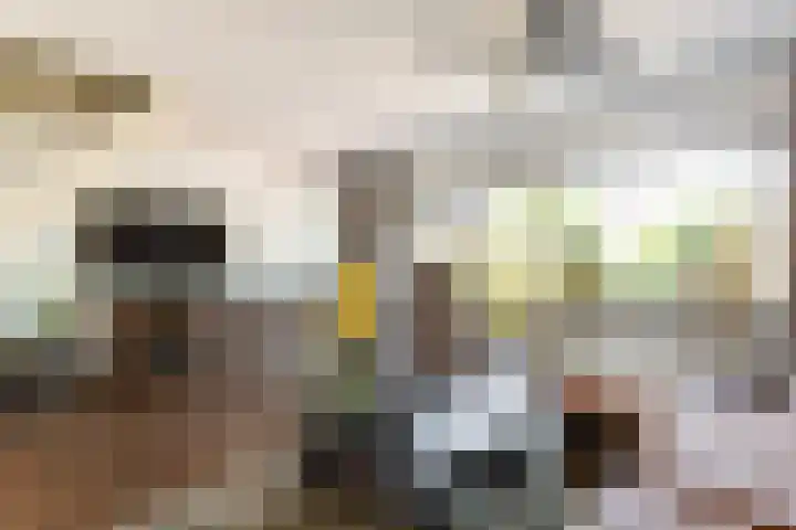 Bosgouw 93 Almere thumbnail 14