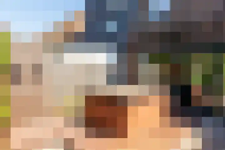 Bosgouw 93 Almere thumbnail 16