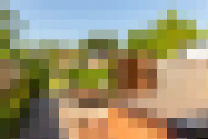 Bosgouw 93 Almere thumbnail 17